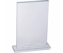 Trofeum BURNLEY 5296