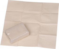 Chusteczki higieniczne 10 szt. MIDLAND 8669