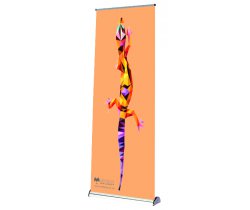 Roll-up premium II 850 mm