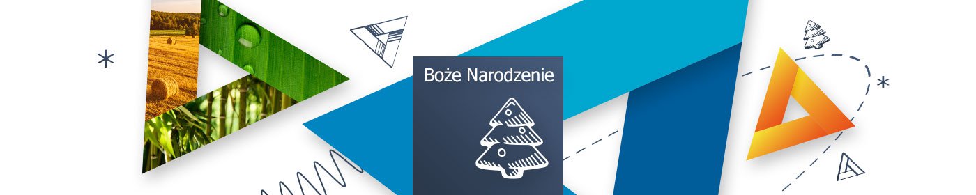 Gadżety świąteczne
